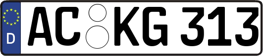 AC-KG313