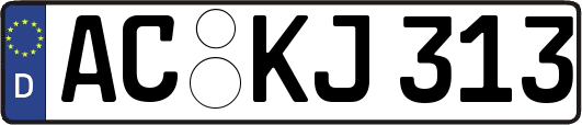 AC-KJ313