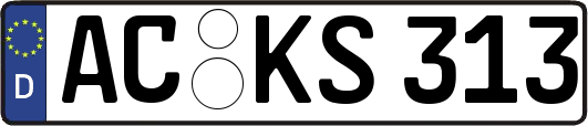 AC-KS313