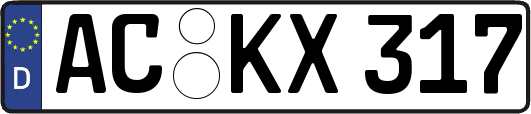 AC-KX317