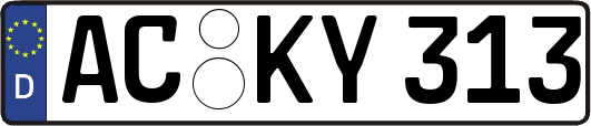 AC-KY313