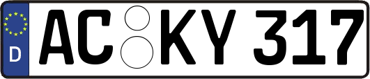 AC-KY317
