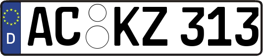 AC-KZ313