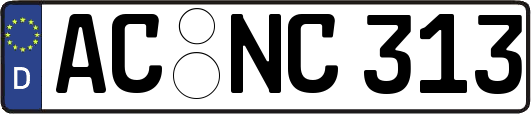 AC-NC313