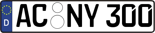 AC-NY300