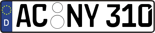 AC-NY310