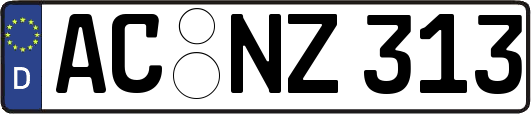 AC-NZ313