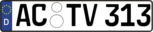 AC-TV313