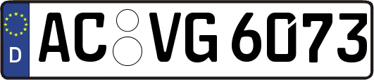 AC-VG6073