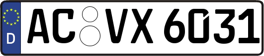 AC-VX6031