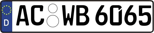 AC-WB6065