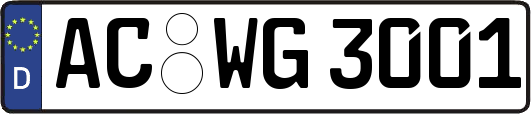 AC-WG3001