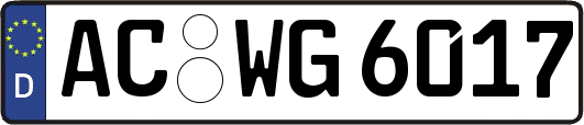 AC-WG6017