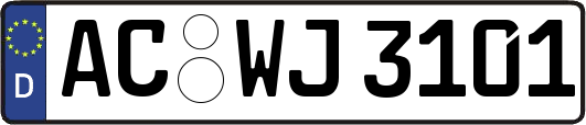 AC-WJ3101