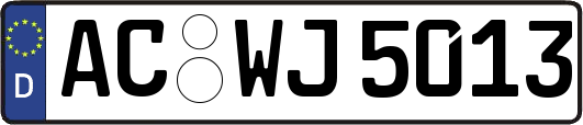 AC-WJ5013