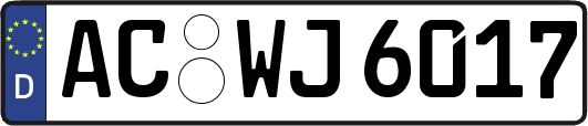 AC-WJ6017