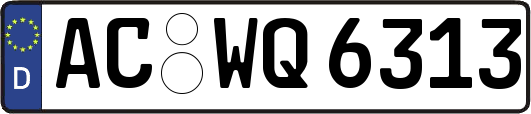 AC-WQ6313