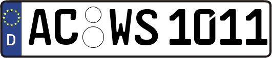 AC-WS1011