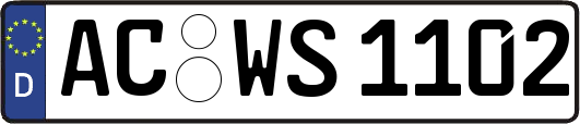 AC-WS1102