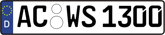 AC-WS1300
