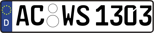 AC-WS1303