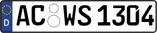 AC-WS1304
