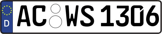 AC-WS1306