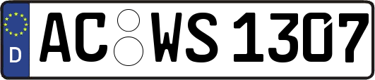 AC-WS1307