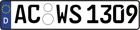 AC-WS1309
