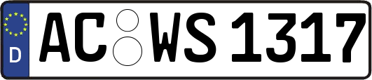 AC-WS1317