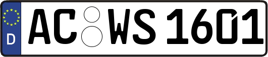 AC-WS1601