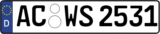 AC-WS2531