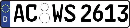 AC-WS2613