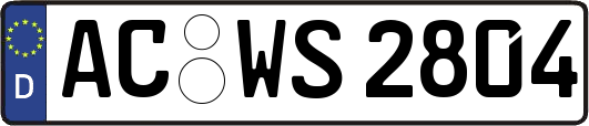 AC-WS2804