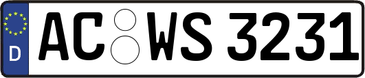AC-WS3231