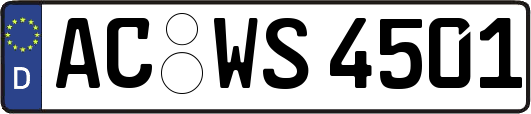 AC-WS4501