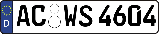 AC-WS4604