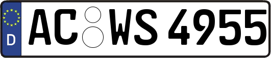 AC-WS4955