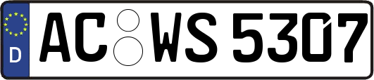 AC-WS5307