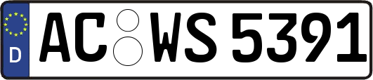 AC-WS5391