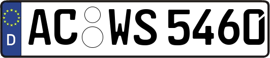 AC-WS5460