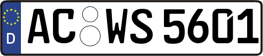 AC-WS5601