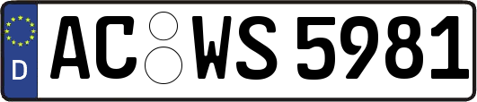 AC-WS5981