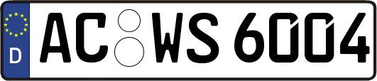 AC-WS6004