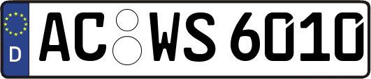AC-WS6010