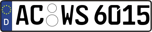 AC-WS6015