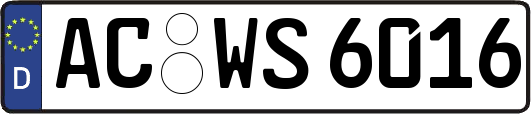 AC-WS6016
