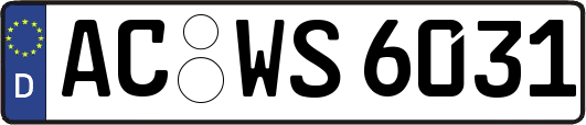 AC-WS6031