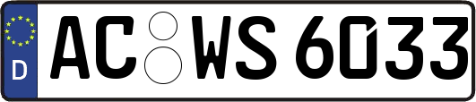 AC-WS6033