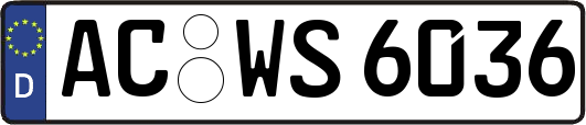 AC-WS6036